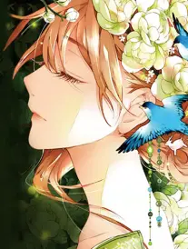 朱批红标题配淡黄格的漫画改编作品封面